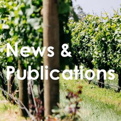 RNG Lawyers News and Publications